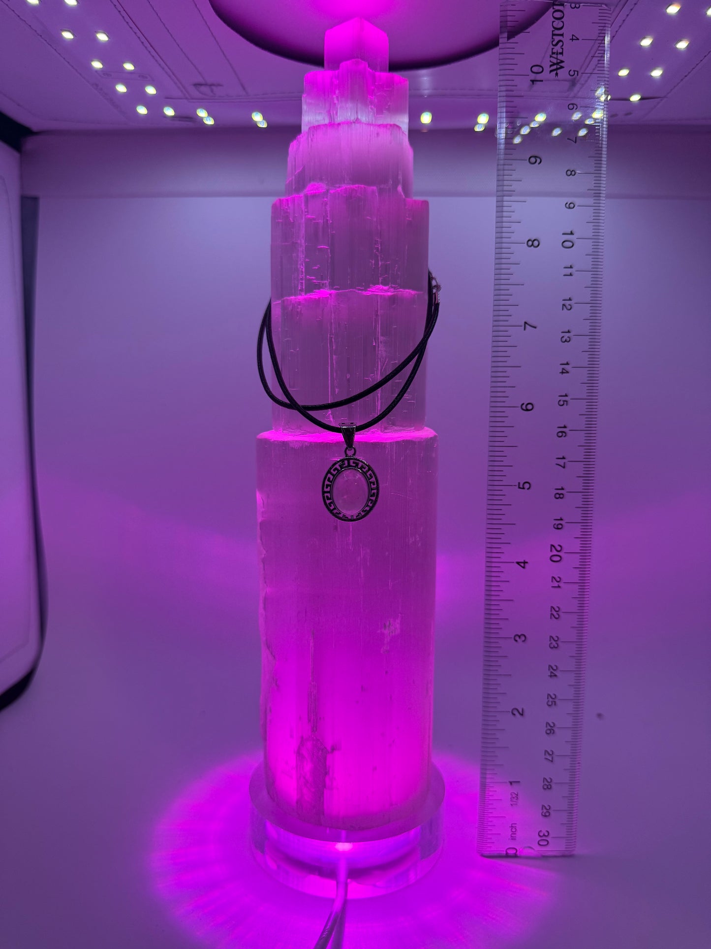 The Luminous Vision Collection
